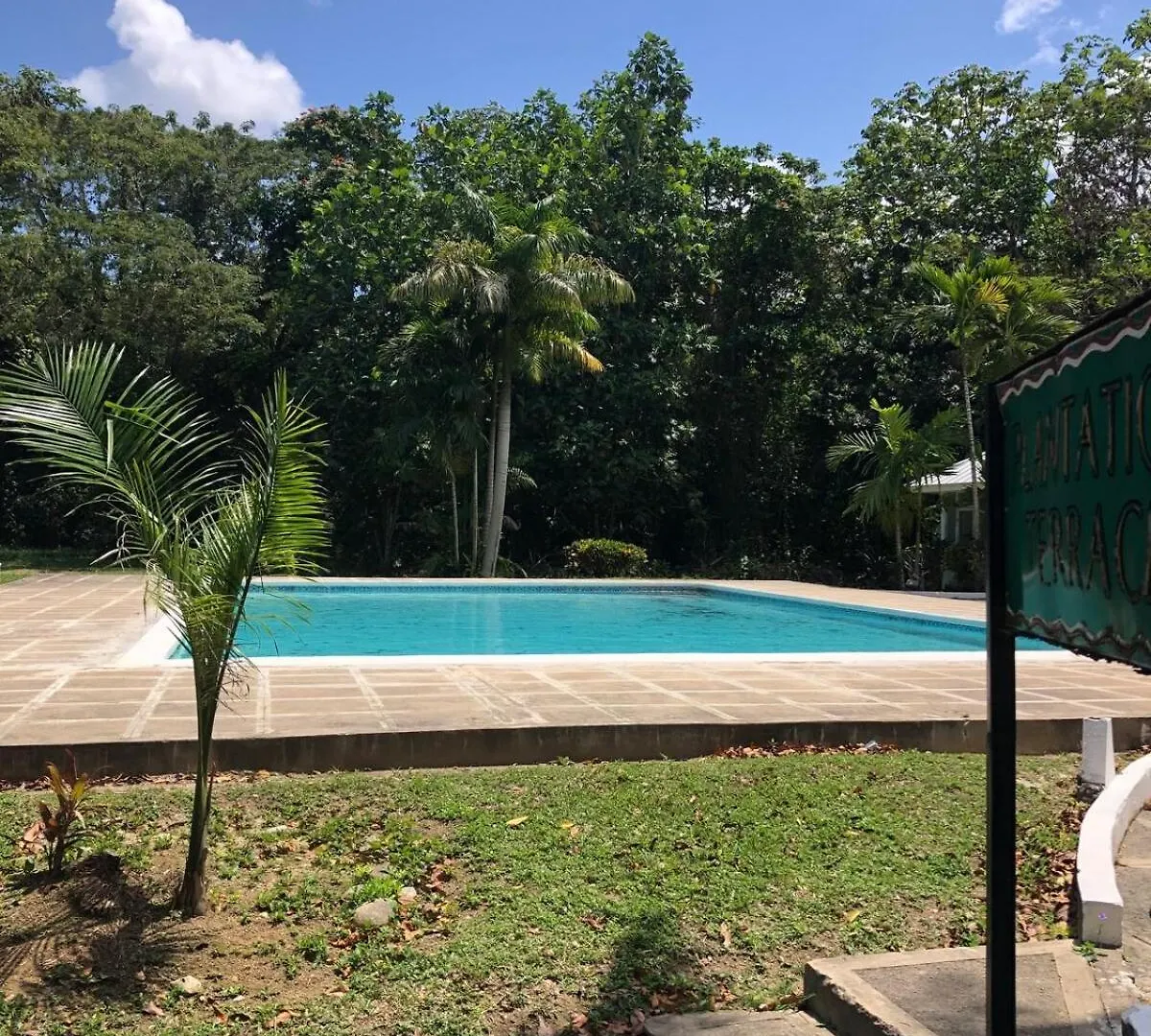 Idle A While Appartement Ocho Rios