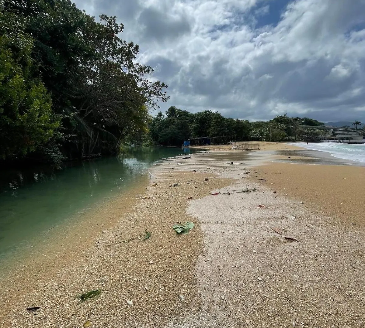 Idle A While Appartement Ocho Rios