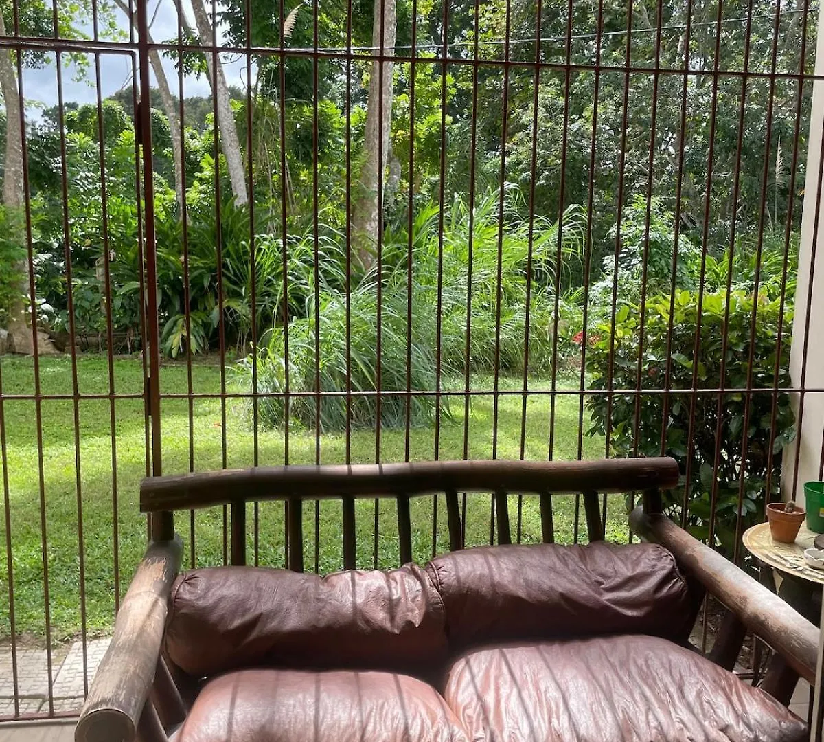 Idle A While Appartement Ocho Rios
